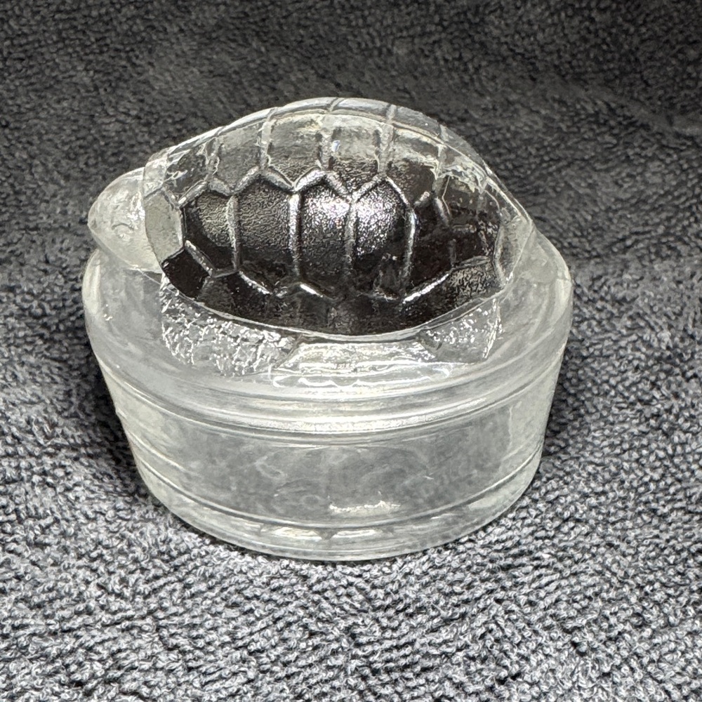 Clear Turtle Shell Trinket Box